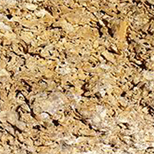 Coquina