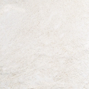 Diatomite