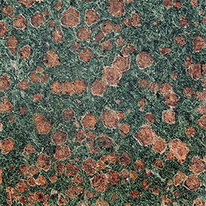 Eclogite
