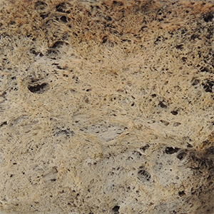 Pumice