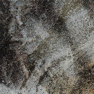 Schist1