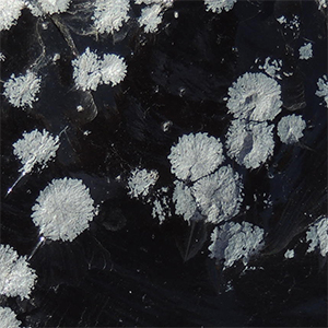SnowObsidian